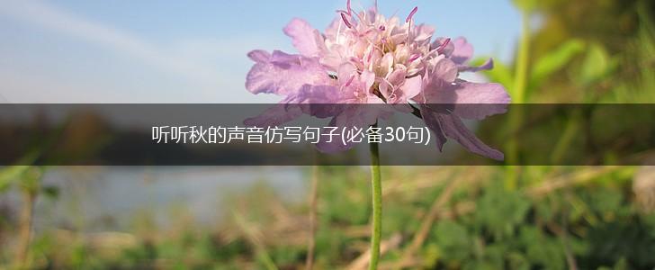 听听秋的声音仿写句子(必备30句),第1张