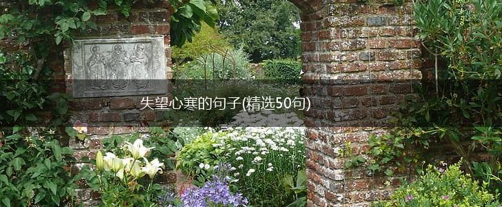 失望心寒的句子(精选50句),第1张