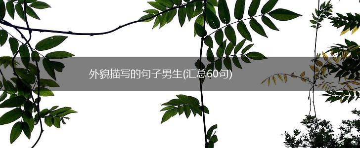 外貌描写的句子男生(汇总60句),第1张