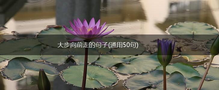 大步向前走的句子(通用50句),第1张
