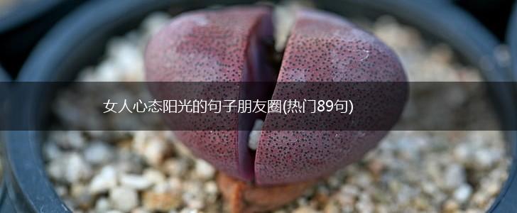 女人心态阳光的句子朋友圈(热门89句),第1张
