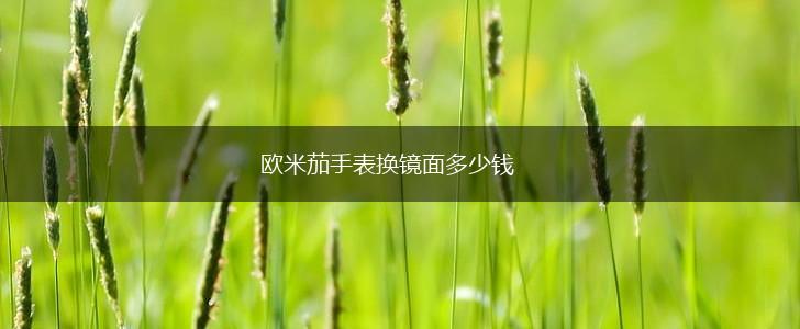 欧米茄手表换镜面多少钱,第1张