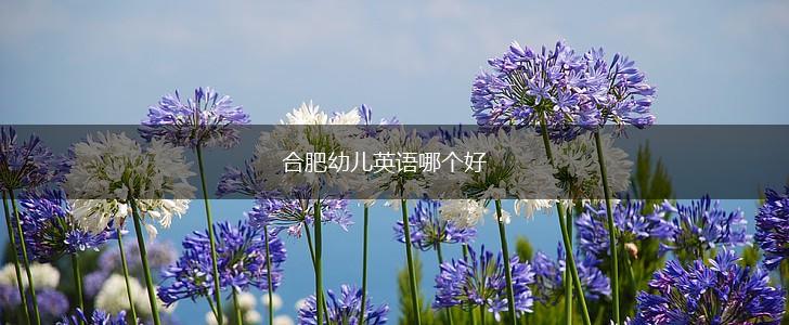 合肥幼儿英语哪个好,第1张