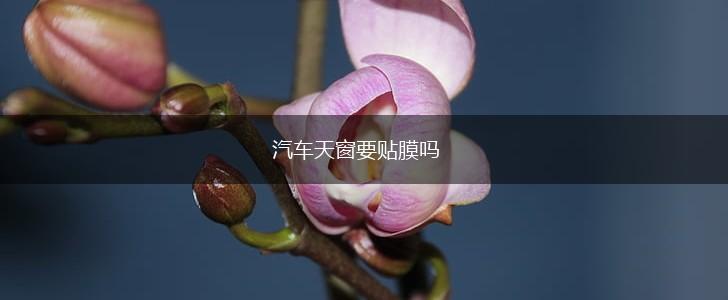 汽车天窗要贴膜吗,第1张
