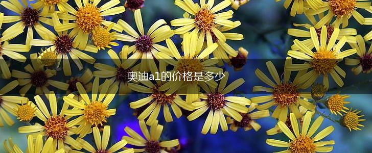 奥迪a1的价格是多少,第1张