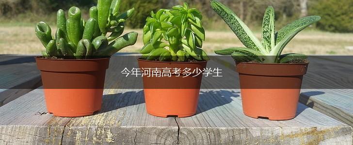 今年河南高考多少学生,第1张
