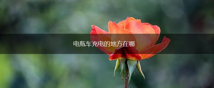 电瓶车充电的地方在哪,第1张