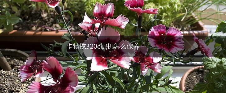 卡特挖320c掘机怎么保养,第1张