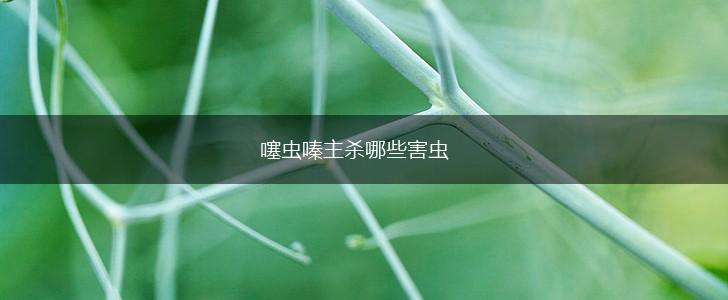 噻虫嗪主杀哪些害虫,第1张