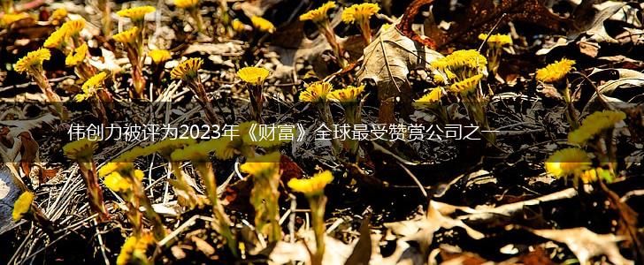 伟创力被评为2023年《财富》全球最受赞赏公司之一,第1张