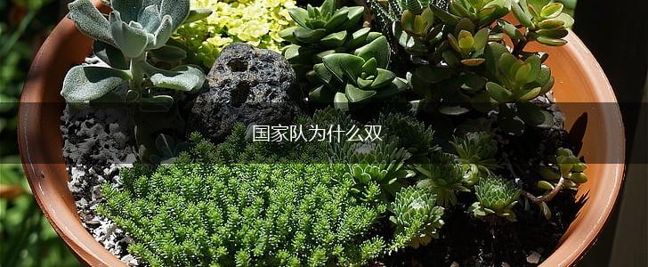 国家队为什么双,第1张
