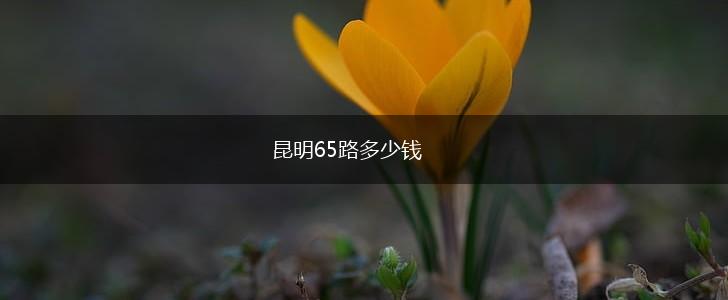 昆明65路多少钱,第1张