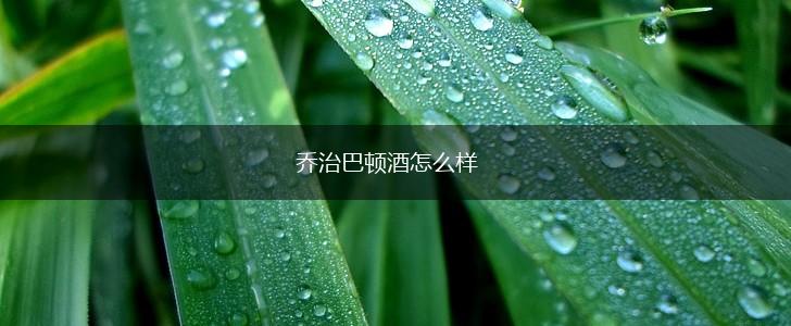 乔治巴顿酒怎么样,第1张