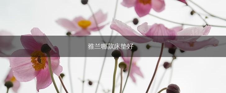 雅兰哪款床垫好,第1张