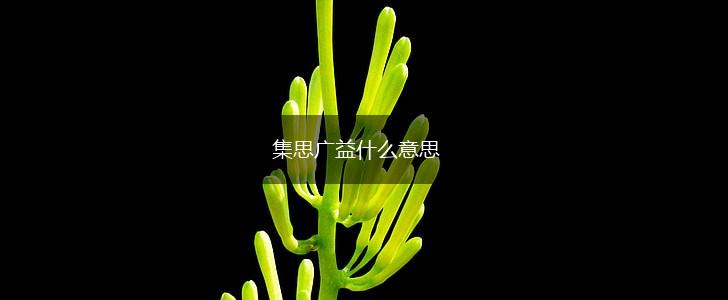 集思广益什么意思,第1张