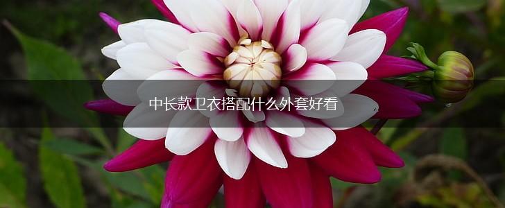 中长款卫衣搭配什么外套好看,第1张