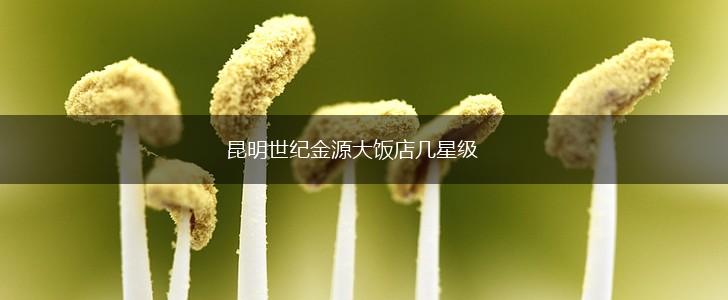 昆明世纪金源大饭店几星级,第1张