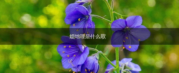 烦地理是什么歌,第1张