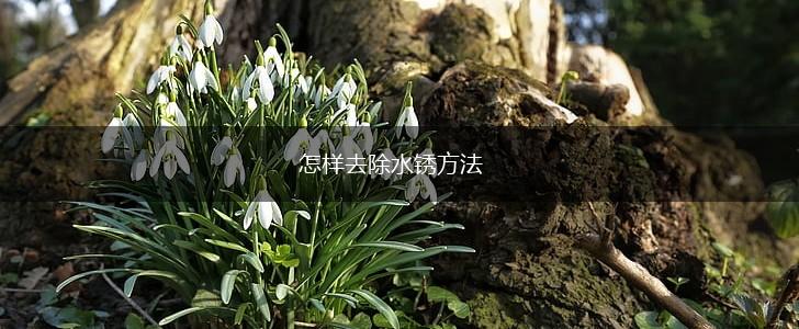 怎样去除水锈方法,第1张
