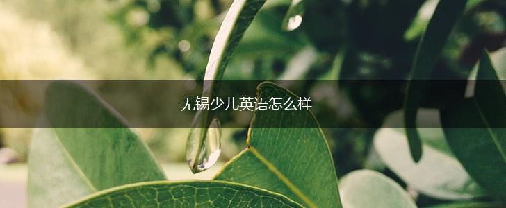 无锡少儿英语怎么样,第1张