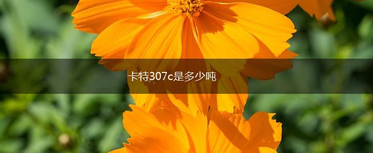 卡特307c是多少吨,第1张