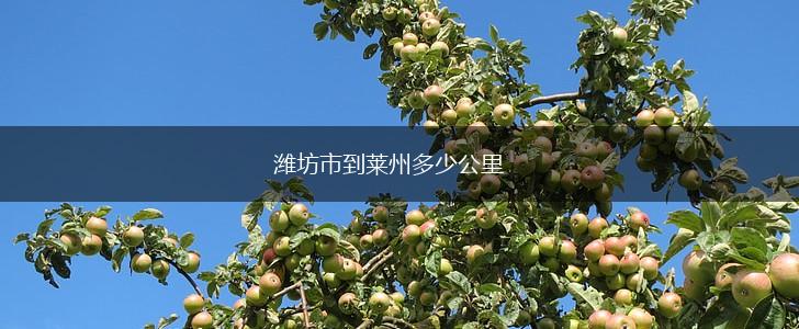 潍坊市到莱州多少公里,第1张