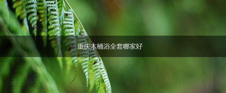 重庆木桶浴全套哪家好,第1张