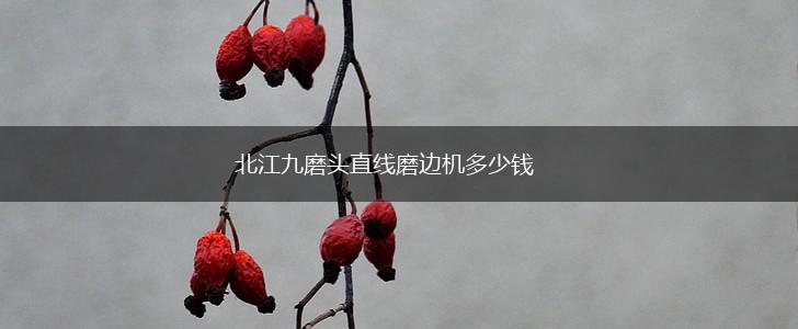 北江九磨头直线磨边机多少钱,第1张