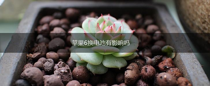 苹果6换电池有影响吗,第1张