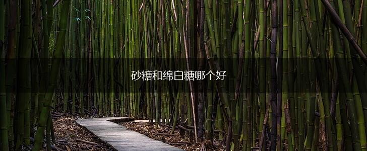 砂糖和绵白糖哪个好,第1张