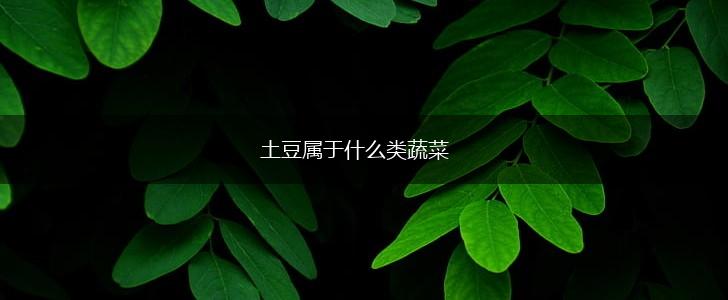 土豆属于什么类蔬菜,第1张