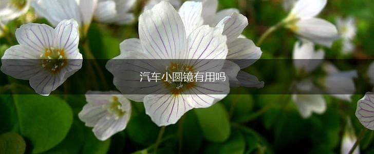 汽车小圆镜有用吗,第1张