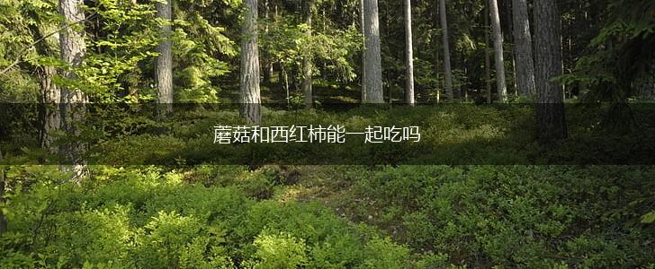 蘑菇和西红柿能一起吃吗,第1张