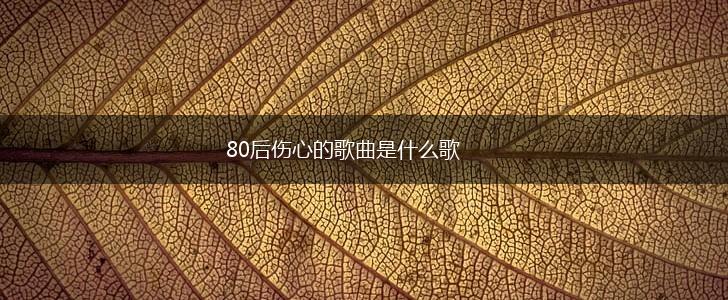 80后伤心的歌曲是什么歌,第1张