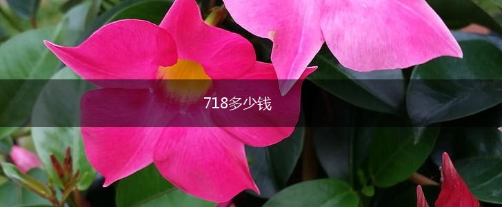 718多少钱,第1张