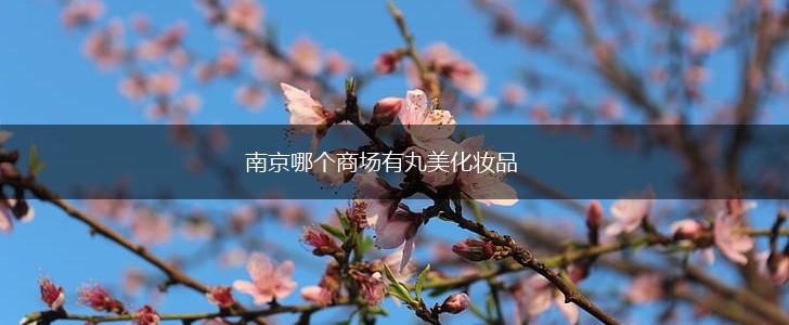 南京哪个商场有丸美化妆品,第1张