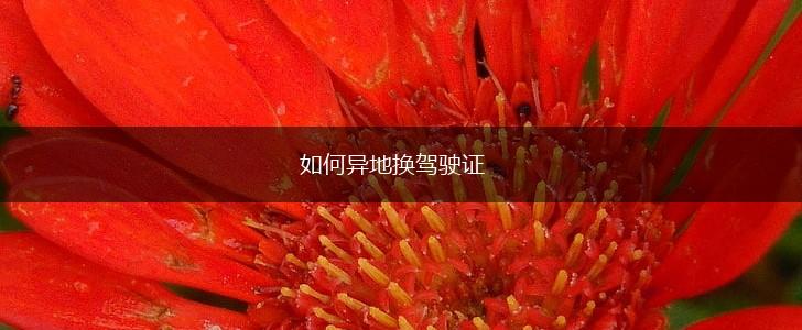 如何异地换驾驶证,第1张