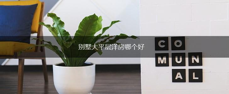 别墅大平层洋房哪个好,第1张