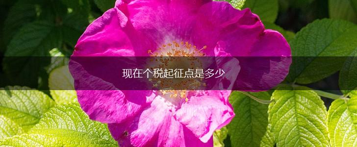 现在个税起征点是多少,第1张