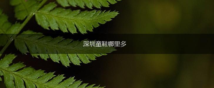 深圳童鞋哪里多,第1张