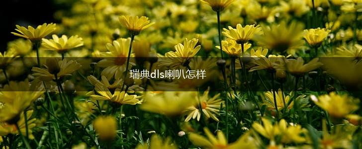瑞典dls喇叭怎样,第1张