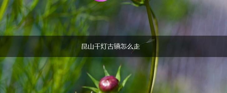 昆山千灯古镇怎么走,第1张