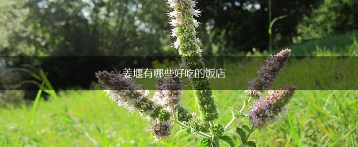 姜堰有哪些好吃的饭店,第1张