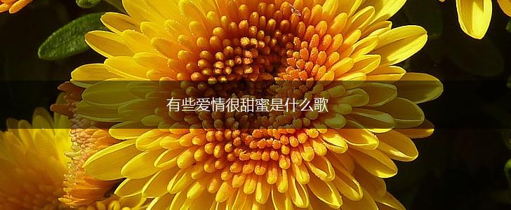有些爱情很甜蜜是什么歌,第1张