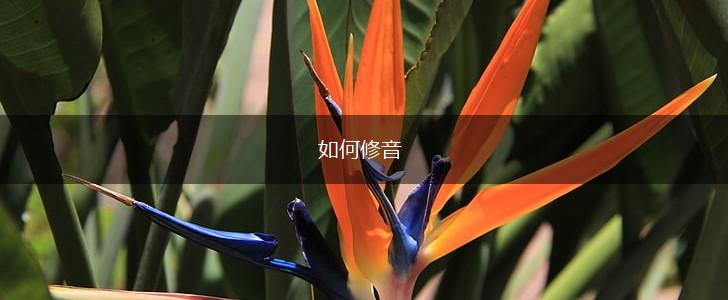 如何修音,第1张
