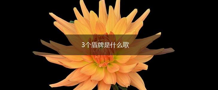 3个盾牌是什么歌,第1张