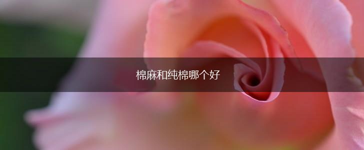 棉麻和纯棉哪个好,第1张