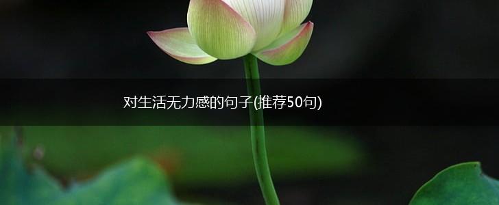 对生活无力感的句子(推荐50句),第1张
