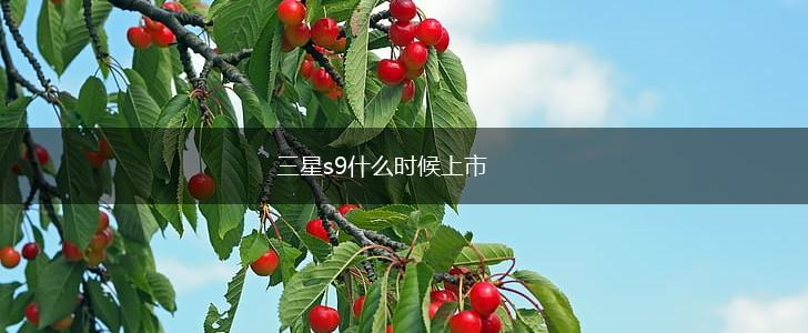 三星s9什么时候上市,第1张