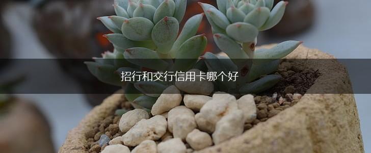 招行和交行信用卡哪个好,第1张